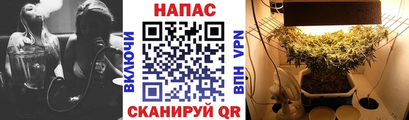 Купить наркотики сайты Свободный АМФ  Псилоцибиновые грибы  ГАШ  Марихуана  СК 