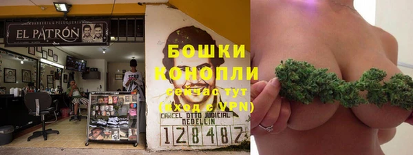 метадон Белокуриха