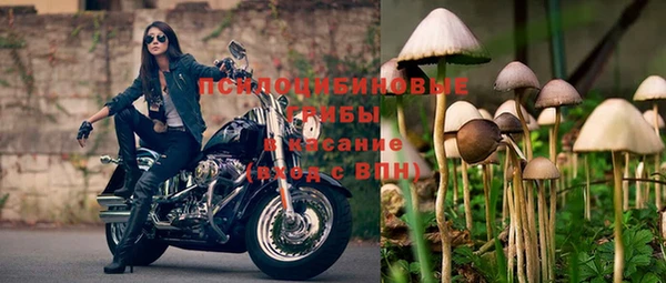 MDMA Premium VHQ Беломорск